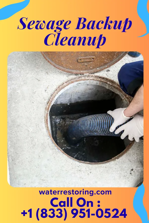 Sewage Backup Cleanup in Monroe, WI