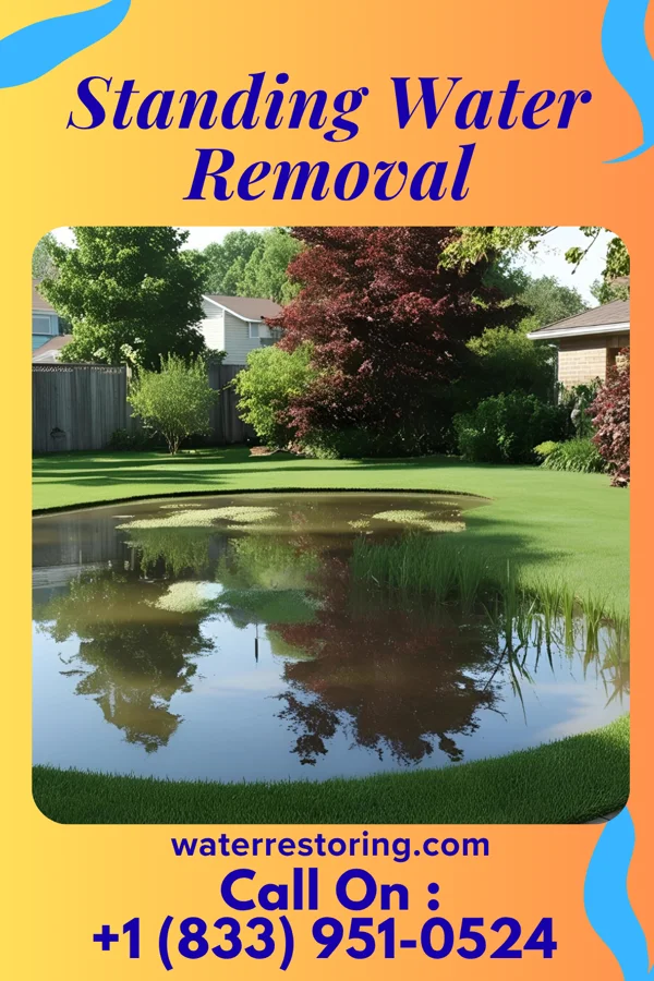 Standing Water Removal in Monroe, WI
